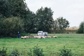 为啥去医院，医生爱问有没有社保或商保？普通人有社保就够了吗？图片