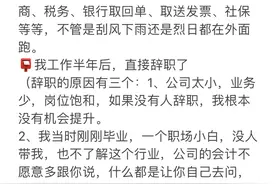 毕业两年会计的真实工作经历图片
