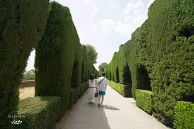 西班牙著名皇宫，被称为世界奇迹，《阿尔汗布拉宫的回忆》拍摄地图片