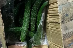 听我一句劝，千万不要尝试黄瓜减肥图片