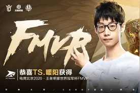 TS暖阳专属皮肤出炉，5大FMVP皮肤盘点，久诚最好猫神垫底图片