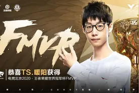 TS暖阳专属皮肤出炉，5大FMVP皮肤盘点，久诚最好猫神垫底图片