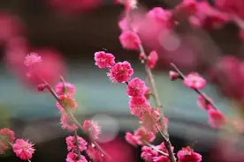 安徽省中考降低物理和化学分值，这是要跟高考改革相呼应吗？图片