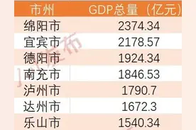 从经济、交通、城区面积、消费能力比较绵阳宜宾两地实力图片