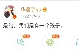 《歌王花少：美艳娇妻带球跑》，娱乐圈爽文又来了图片