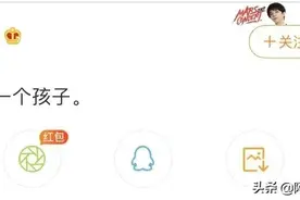 《歌王花少：美艳娇妻带球跑》，娱乐圈爽文又来了图片