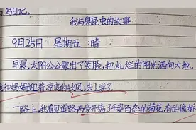 家长晒一年级孩子满分日记，书面整洁书写工整，老师直夸难得一见图片