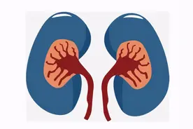 人体切除一个肾有什么影响？图片
