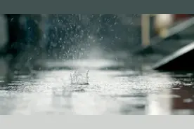 暑假了，一只大狗趴在老人腿上，狗微叫一声，老人把它绳子解开了图片