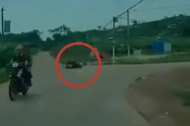 东方快评丨岂能让“法不责老”加重“扶不起”？图片