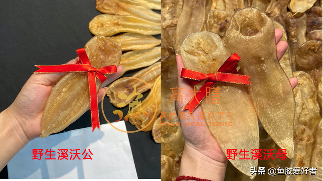 白花胶与黄花胶的区别 2026年白花胶与黄花胶的区别图片