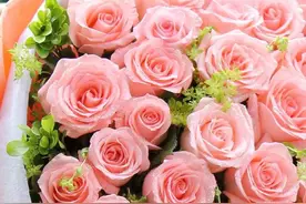 离开了这么多年你还好吗？还记得有一个傻傻的我吗？图片