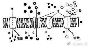 苏教版高中生物必修第一册《组成细胞的元素》教案课件视频