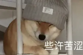 最逗比的搞笑故事，简短幽默，专治不开心图片