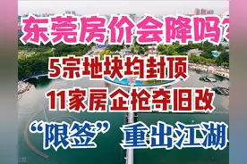 东莞调控失灵？再出5宗“地王”，11家房企抢南城，限签管用吗图片