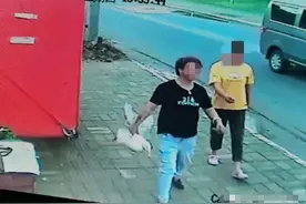 王珞丹找的那只宠物鸭，身价不是一般的高图片