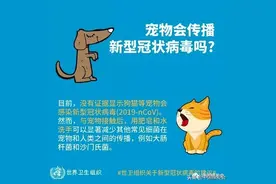 香港宠物狗感染新冠？此文看懂狗狗是否与COVID19传播有关图片