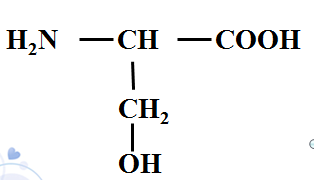 高中生物：蛋白质的基本单位——氨基酸 教学设计