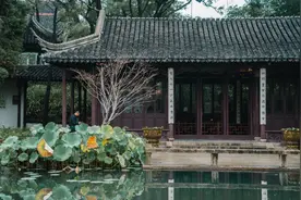 暂时忘记园林！苏州真正的人间烟火，都藏在这些看似平常的街巷里图片