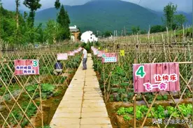 全国100万家庭农场，拿到了补贴！今年，办家庭农场能补贴多少？图片