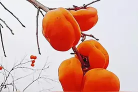 壁纸美图，事事如意，天天开心图片