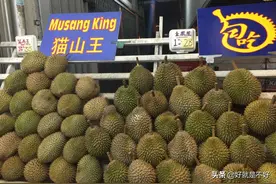 东南亚的华人之城-槟城（Penang in Malaysia）图片