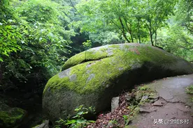 趁着父母还能出行，带着老人出去走走吧！适合80岁老人旅游的地方图片