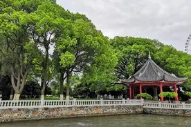 施工现场影像资料留存规定图片