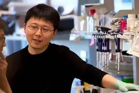 张锋当选美国医学科学院院士，39岁已成四院院士图片