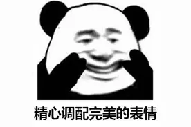 那些沙雕搞笑的熊猫表情包图片