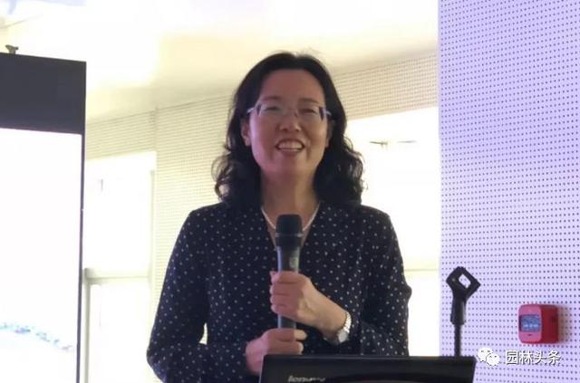 雄安新区街道绿化，重点应用这些树种