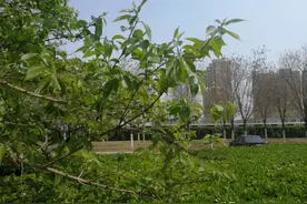 乡村寻踪：由“孤”到“谷”，“谷家营”这个村子图片
