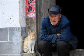 老人与老牛发生的事，为何让无数网友为之动容？图片