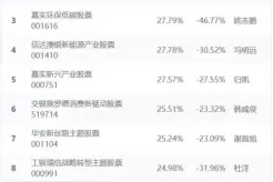 晨星五年期基金业绩榜发布 袁芳担纲工银瑞信文体产业高居第一图片