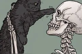 骷髅和猫咪，矛盾组合却相当治愈，一组板绘插画图片