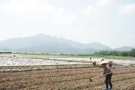 广东：在珠海斗门区等6地启动新一轮农村宅基地制度改革试点图片