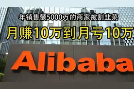 阿里是如何一步步割商家韭菜的，商家从月赚10万到月亏10万图片