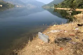 云南钓鱼人澜沧江钓起了多条“黄金鲤”，这是外来物种吗？图片