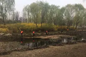 水草已打捞干净，石家庄秀水公园更漂亮了！图片