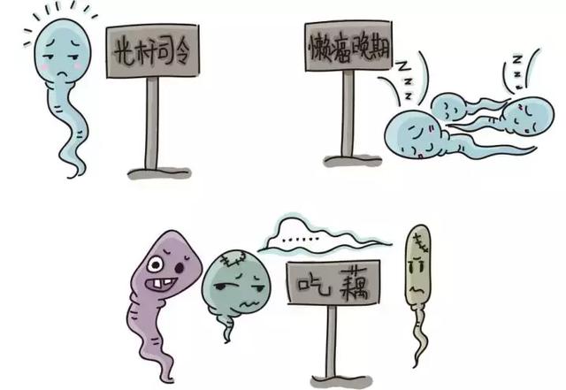 精子离开男性身体后，还能活多久？没投胎成功的又去哪了？
