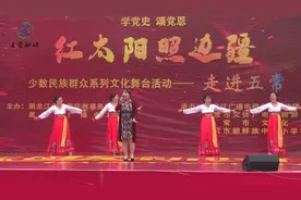 “红太阳照边疆”少数民族群众文化舞台活动在我市隆重举行图片