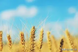 抹不掉的记忆图片