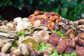 致死率达80%！多人因吃这种蘑菇中毒死亡，千万别乱吃了图片