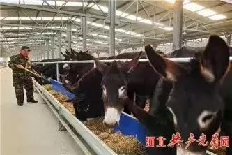 中央财政扶持！河北要新添25张金名片！邯郸两县上榜