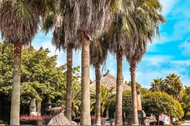 藏在成都的“小泰国”被我发现了！不要门票图片