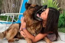 少女跟爱犬亲密自拍 不成想遭德牧疯狂咬脸险毁容视频封面