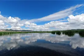 “地退水进、人退鸟进”，“高原明珠”草海重返璀璨图片