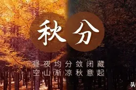 襄阳“官宣”入秋~阳光已在路上，美好的事物请耐心等待图片