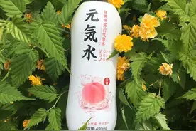 伪装日系饮料，五个月卖6亿瓶——起底元气森林今夏爆红幕后故事图片