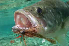 这款路亚饵在水中收放自如，诱鱼效果好，路亚赛事都抢着用图片